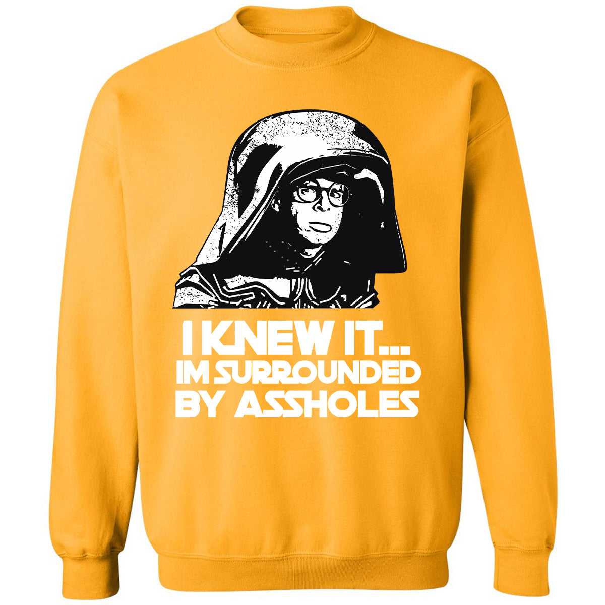 Classic Unisex Sweatshirt - X5NB8U3T