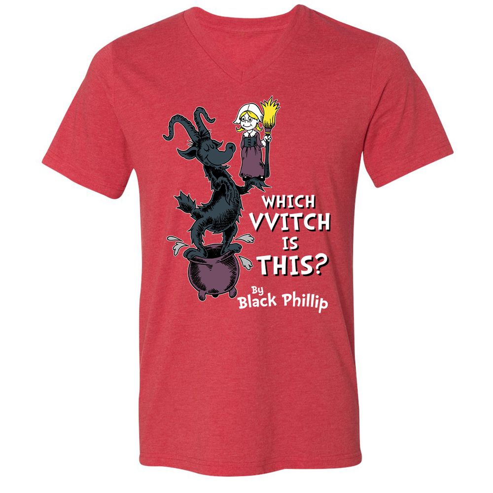 Unisex V-Neck T-Shirt - SBCW72VC - Heather Red - 16