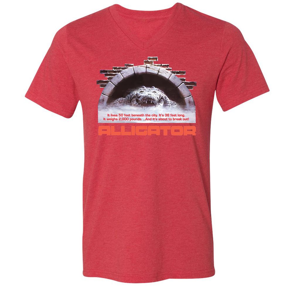 Unisex V-Neck T-Shirt - 2ZSVGE16 - Heather Red - 16