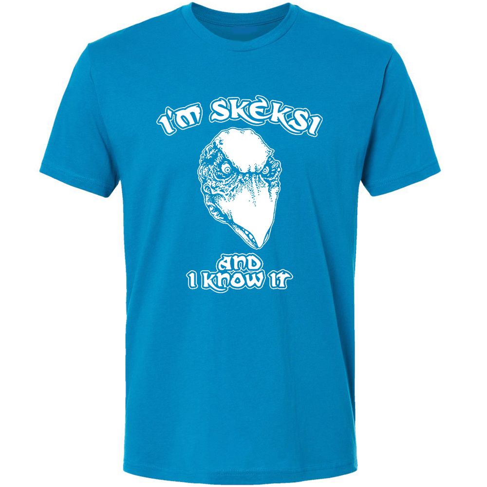 Premium Unisex T-Shirt - BSAFMLMJ - Turquoise - 16