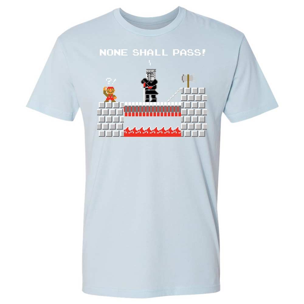 No Plumbers Shall Pass - Light Blue - 21