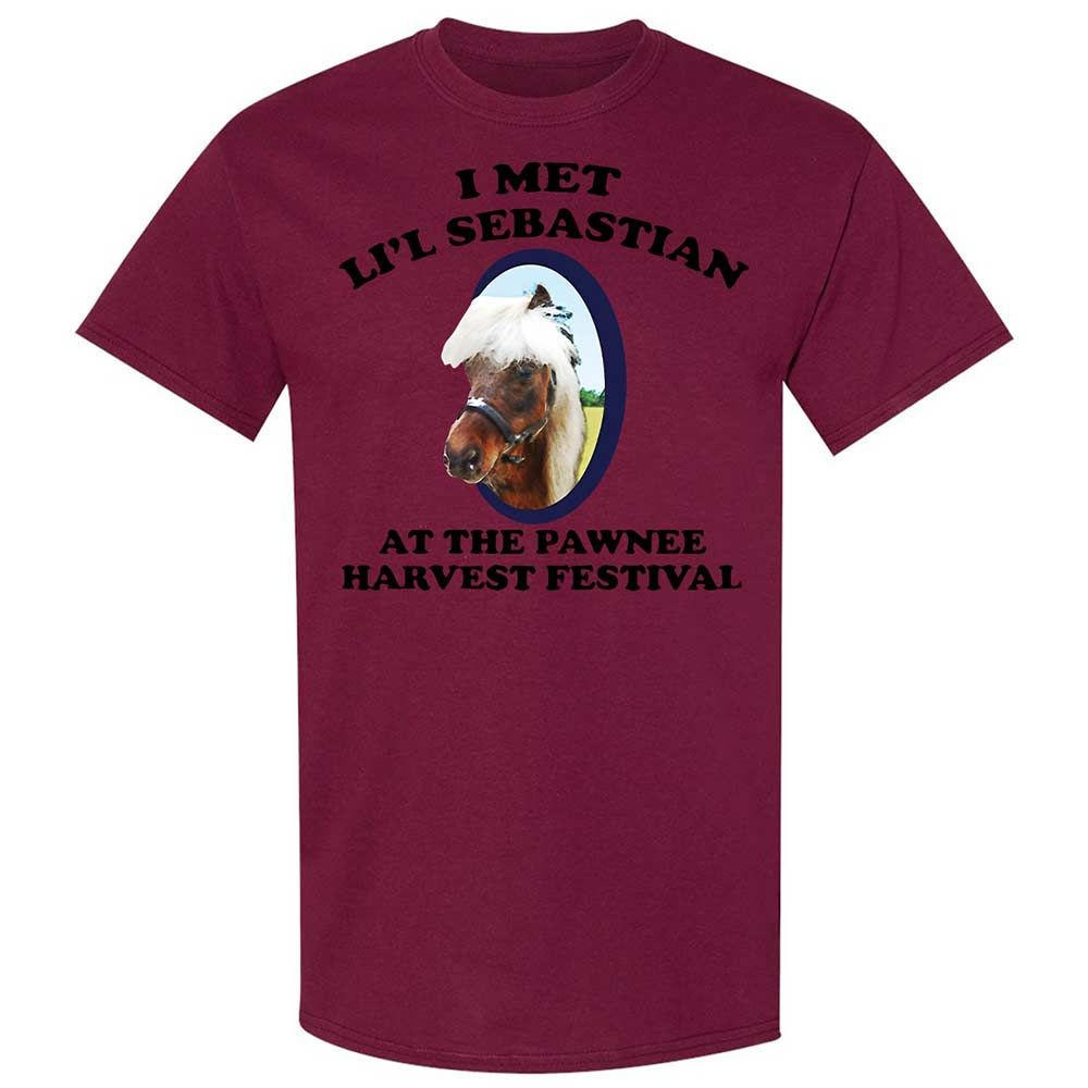 Classic Unisex T-Shirt - AXCVURWM - Maroon - 21