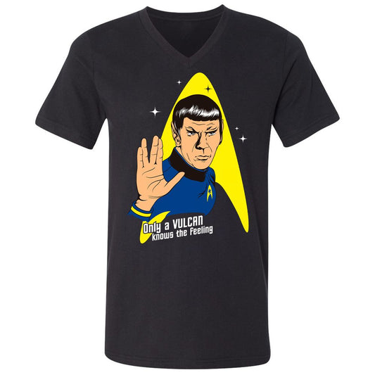 Unisex V-Neck T-Shirt - 9JQPN2ZJ - Black - 1