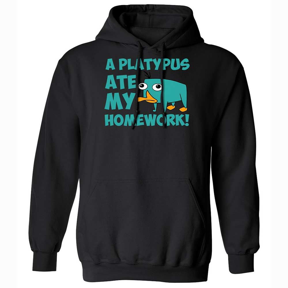 Classic Unisex Hoodie - 6LCQ1Y8Y - Black - 1