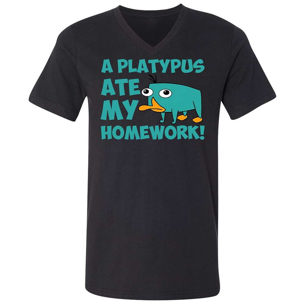 Unisex V-Neck T-Shirt - 5LF2ZZDD - Black - 1