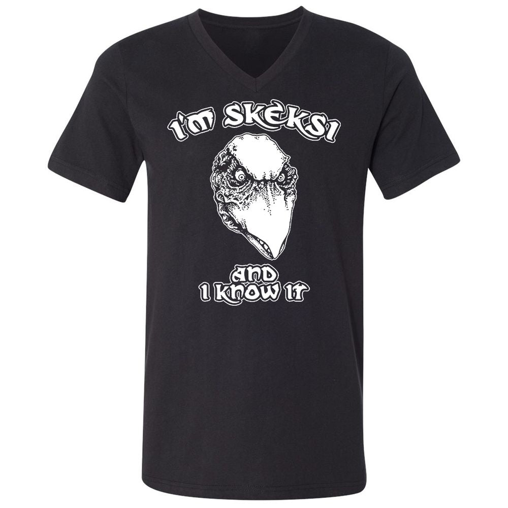 Unisex V-Neck T-Shirt - AGCXZ1HQ - Black - 1