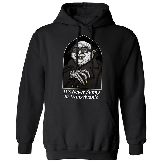 Classic Unisex Hoodie - Q2HXGFSY - Black - 1