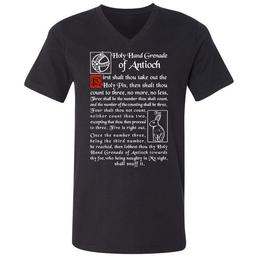 Unisex V-Neck T-Shirt - 4DWX49NV - Black - 1