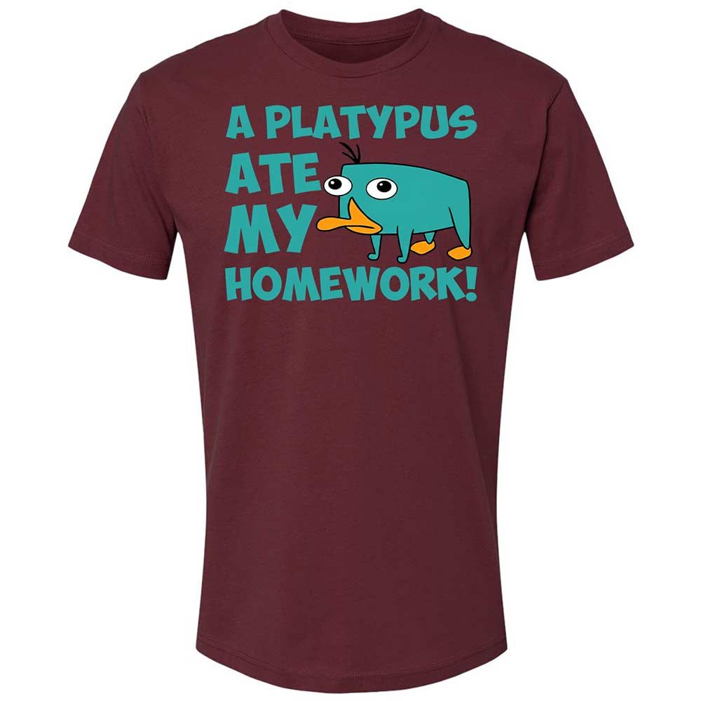 Premium Unisex T-Shirt - 2ST2R69Q - Maroon - 10