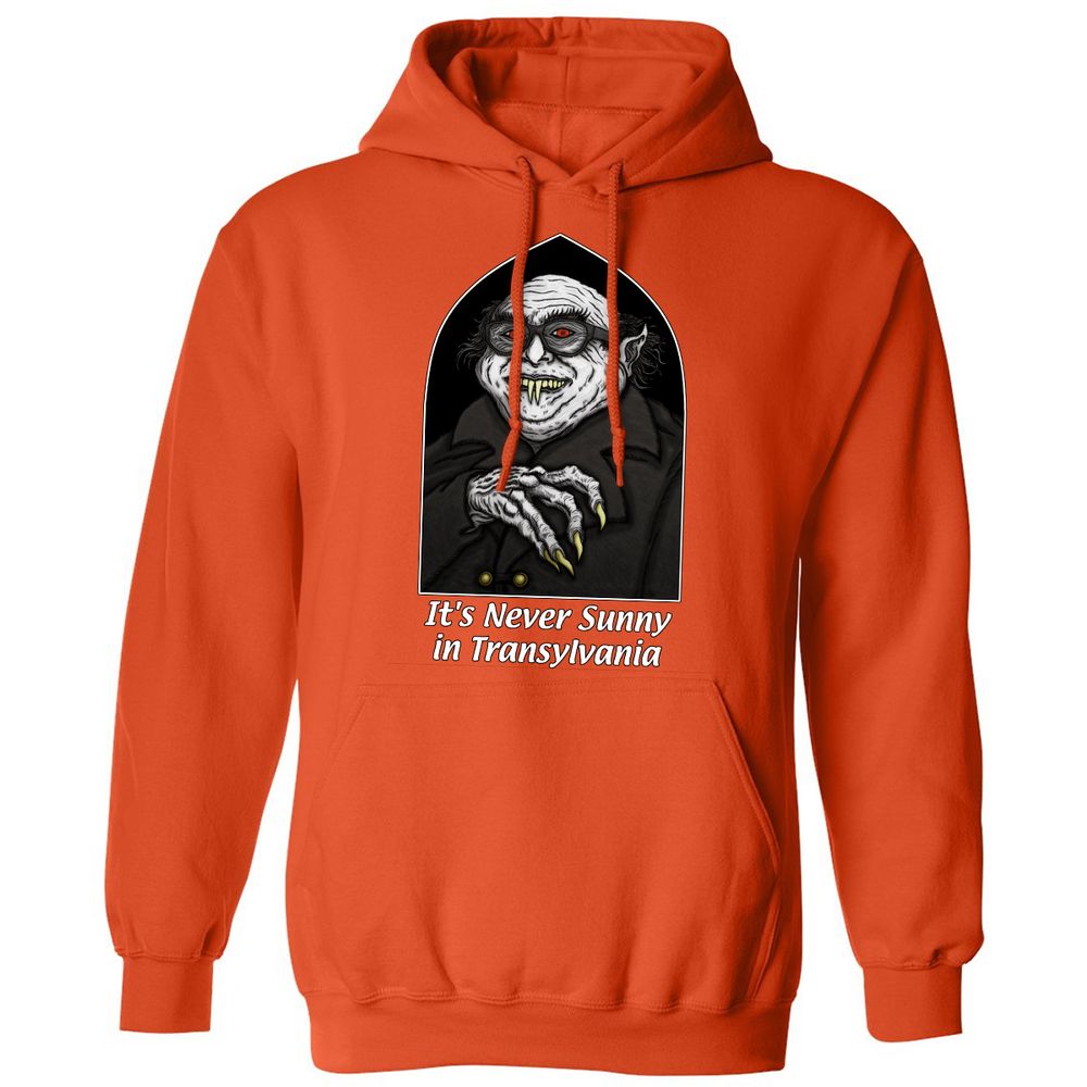 Classic Unisex Hoodie - Q2HXGFSY - Orange - 10