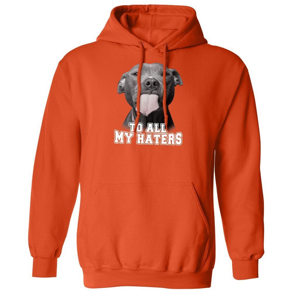Classic Unisex Hoodie - GCNXTP9W - Orange - 10