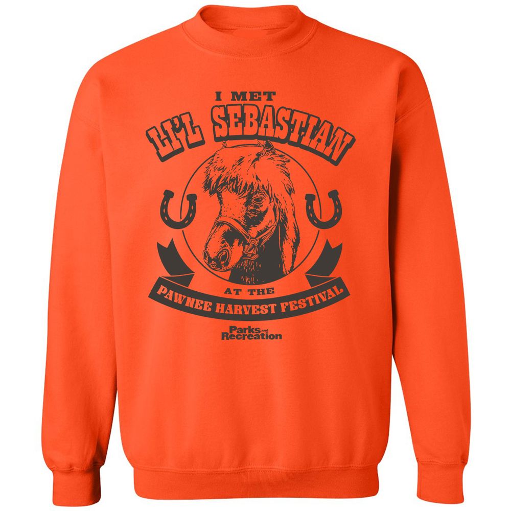 Classic Unisex Sweatshirt - B11YQVES - Orange - 10