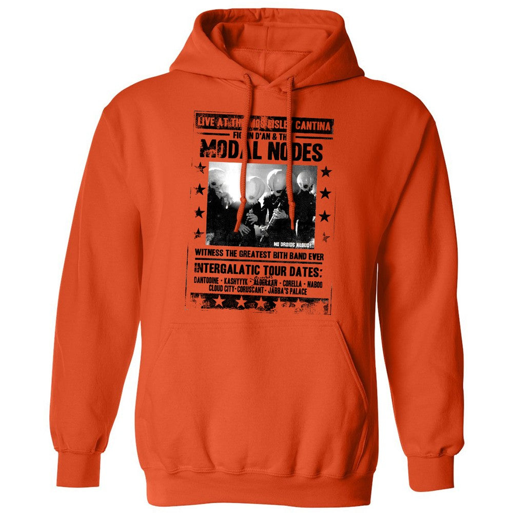 Classic Unisex Hoodie - 5YTJSUDW - Orange - 10