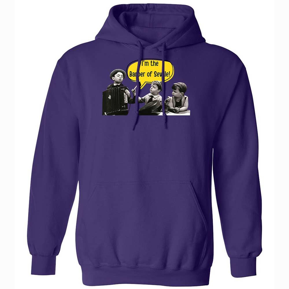 Classic Unisex Hoodie - TTJEMUBW - Purple - 10