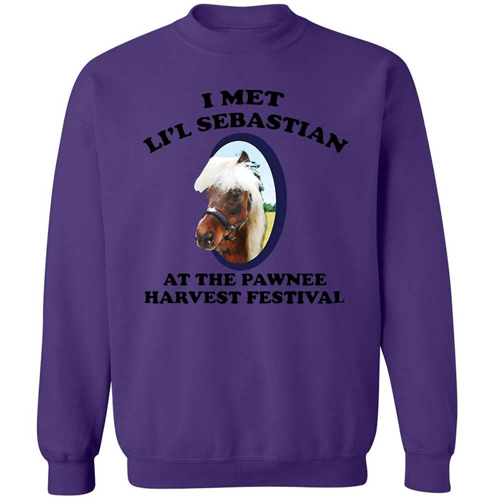 Classic Unisex Sweatshirt - TBM26TRM - Purple - 10