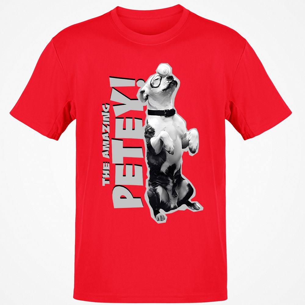 Classic Unisex T-Shirt - C7A11TXY - Red - 10