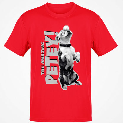 Classic Unisex T-Shirt - C7A11TXY - Red - 10