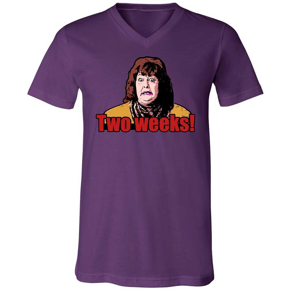 Unisex V-Neck T-Shirt - H9M9T2TE - Team Purple - 10