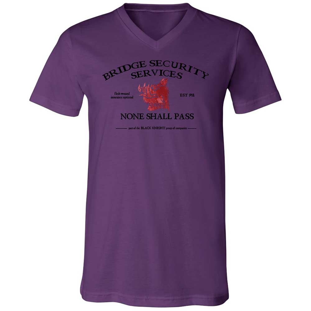 Unisex V-Neck T-Shirt - A9GK79EZ - Team Purple - 10
