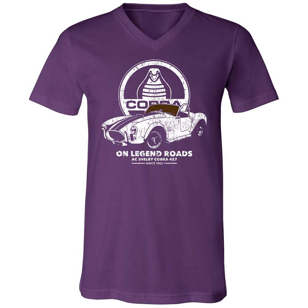Unisex V-Neck T-Shirt - 3B31WVN8 - Team Purple - 10