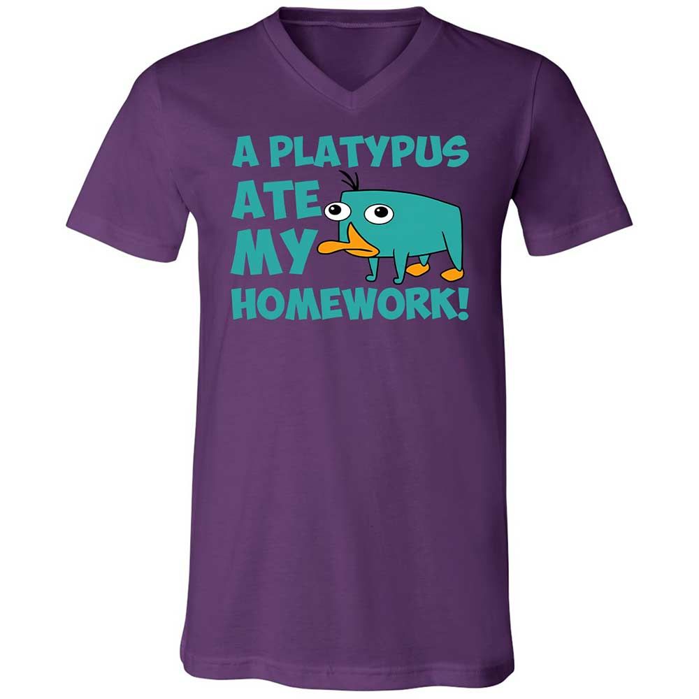 Unisex V-Neck T-Shirt - 5LF2ZZDD - Team Purple - 10