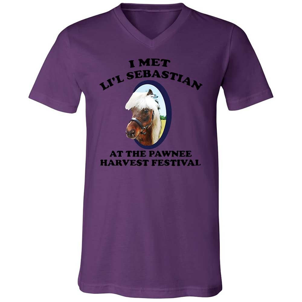 Unisex V-Neck T-Shirt - 8Z1V2HKT - Team Purple - 10