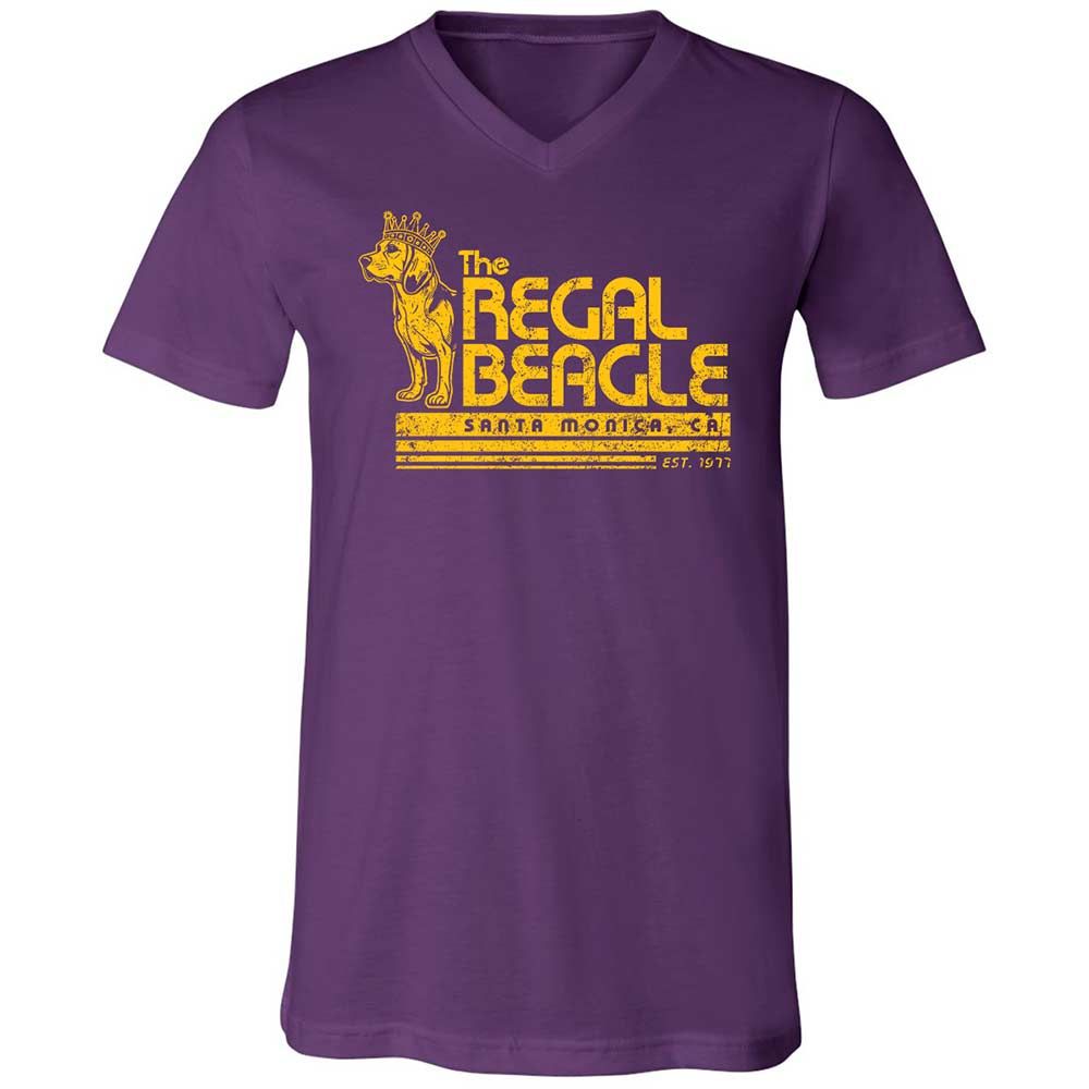 Unisex V-Neck T-Shirt - N3C58UKQ - Team Purple - 10
