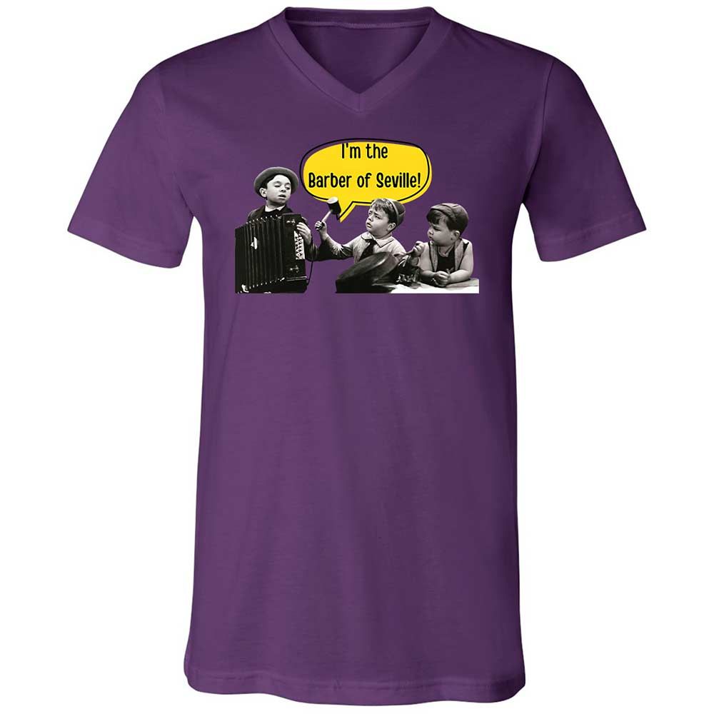 Unisex V-Neck T-Shirt - ANQYQH8G - Team Purple - 10