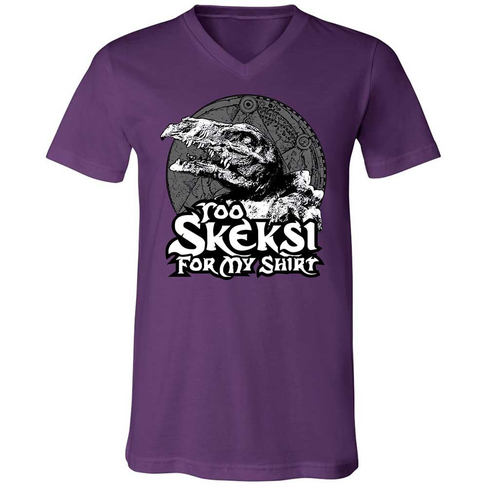 Unisex V-Neck T-Shirt - D7Z6V5R3 - Team Purple - 10