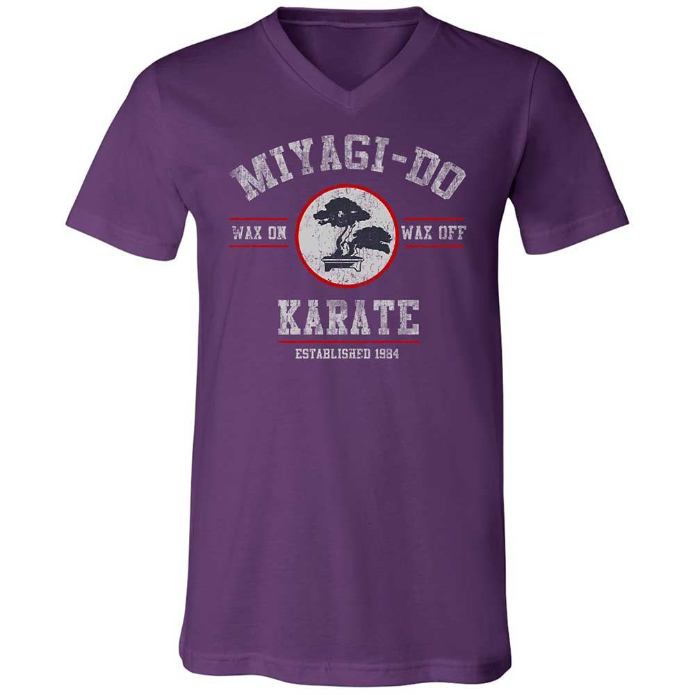 Unisex V-Neck T-Shirt - YSD1PHR9 - Team Purple - 10