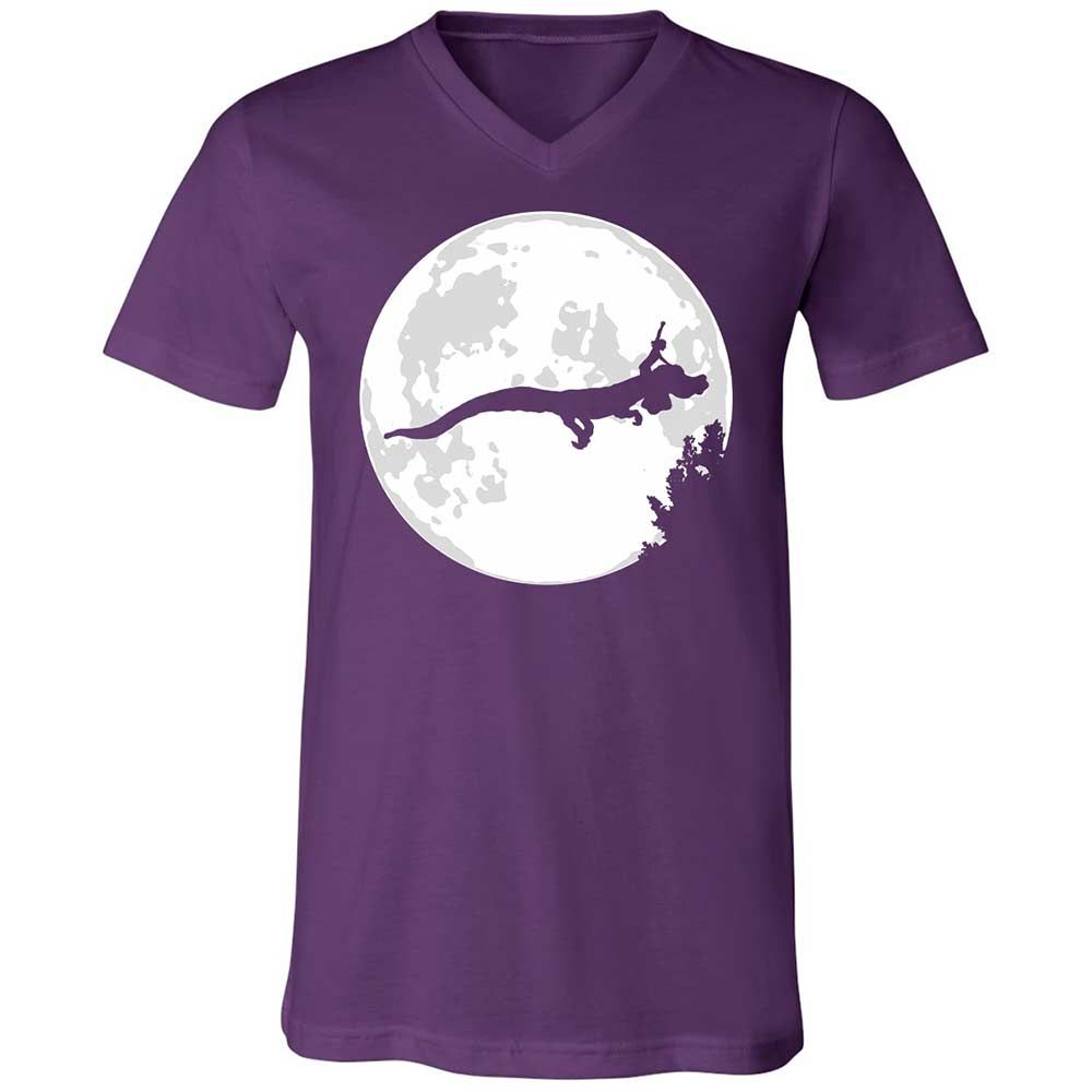 Falkor Moon - Team Purple - 10