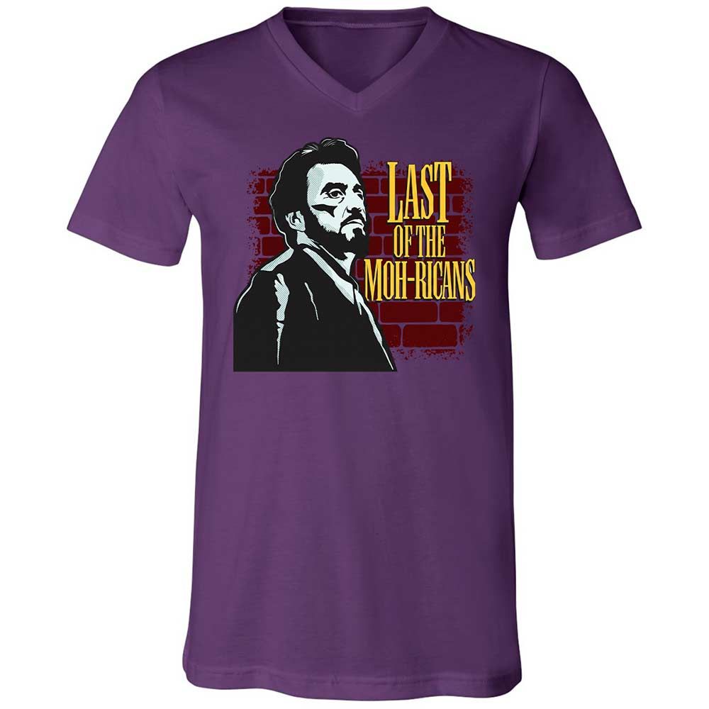 Unisex V-Neck T-Shirt - ALT917J5 - Team Purple - 10