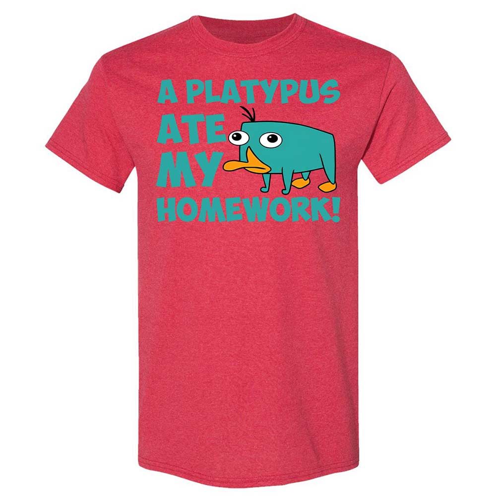 Classic Unisex T-Shirt - NQWJYLTT - Heather Red - 11