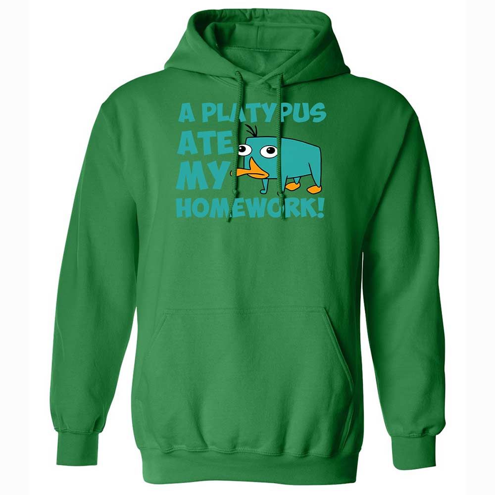 Classic Unisex Hoodie - 6LCQ1Y8Y - Irish Green - 11