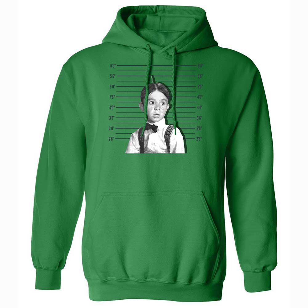 Classic Unisex Hoodie - 541CJLA1 - Irish Green - 11