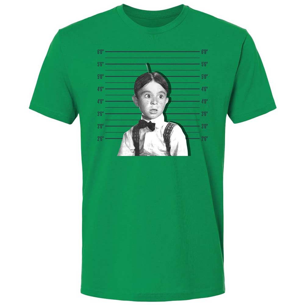 Premium Unisex T-Shirt - FNQ6BRAX - Kelly Green - 11