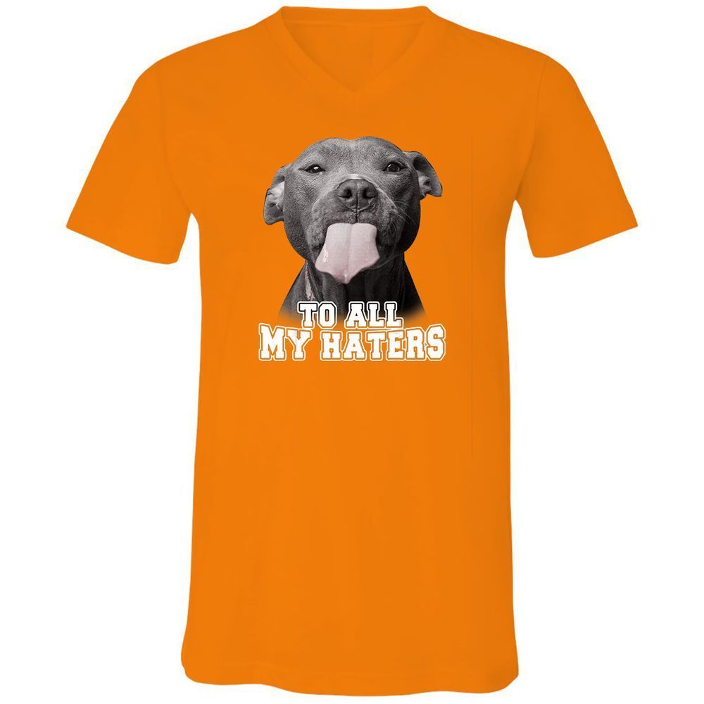 Unisex V-Neck T-Shirt - 3Z36GRAF - Orange - 11