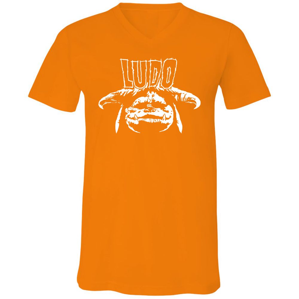 Unisex V-Neck T-Shirt - WY2V2PXT - Orange - 11