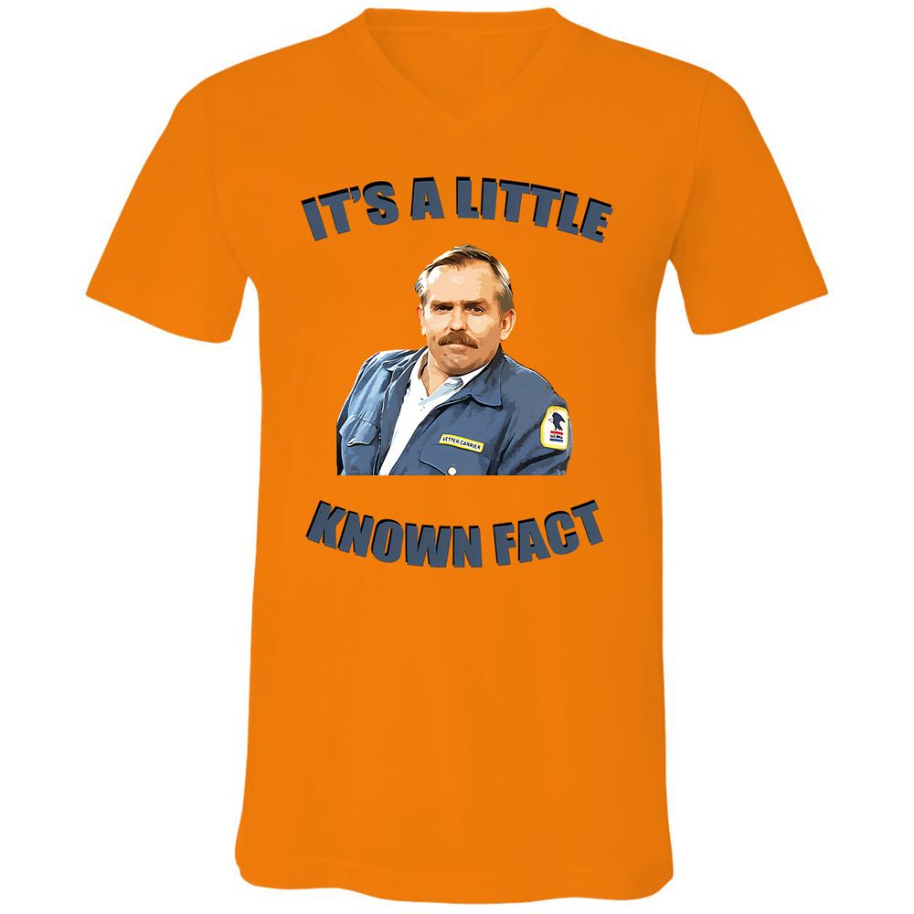Unisex V-Neck T-Shirt - Y4Q4STCB - Orange - 11