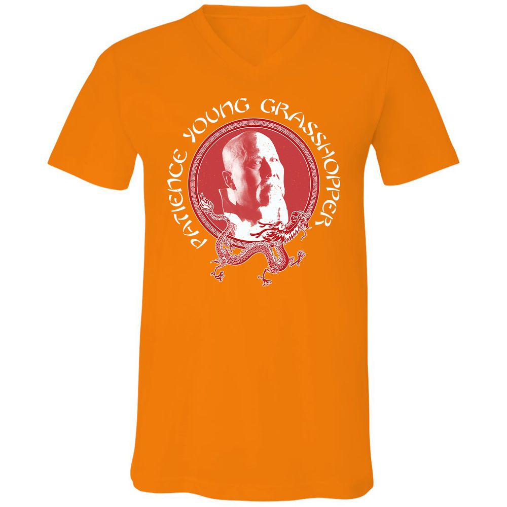 Unisex V-Neck T-Shirt - B97P5EHN - Orange - 11