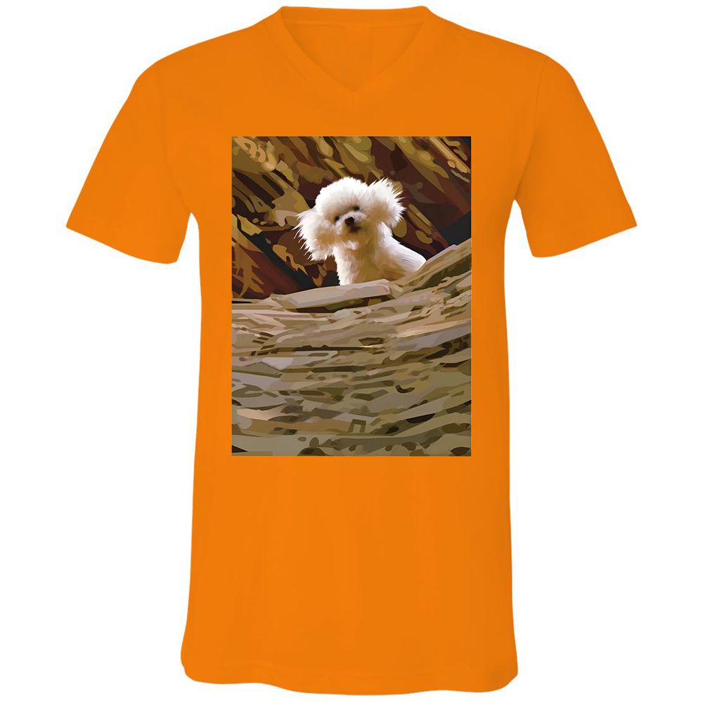 Precious Bichon - Orange - 11