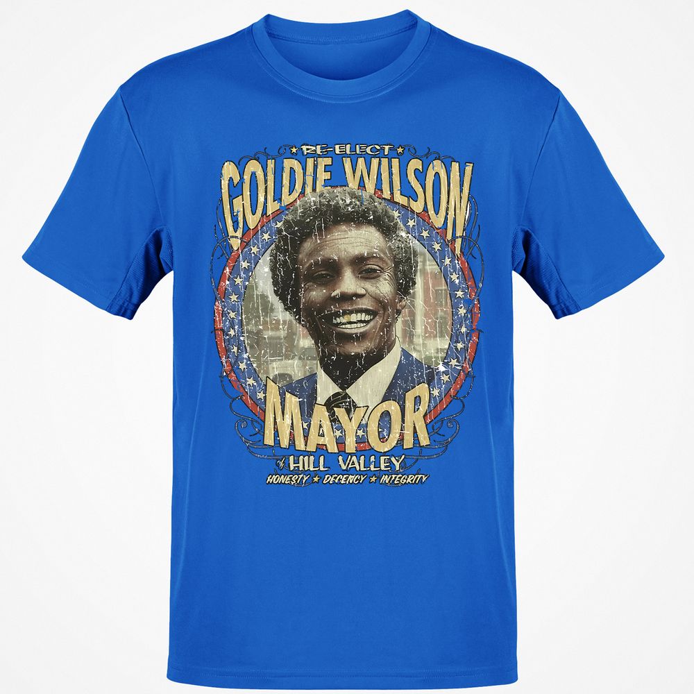 Re-Elect Mayor Goldie Wilson - Royal - 11