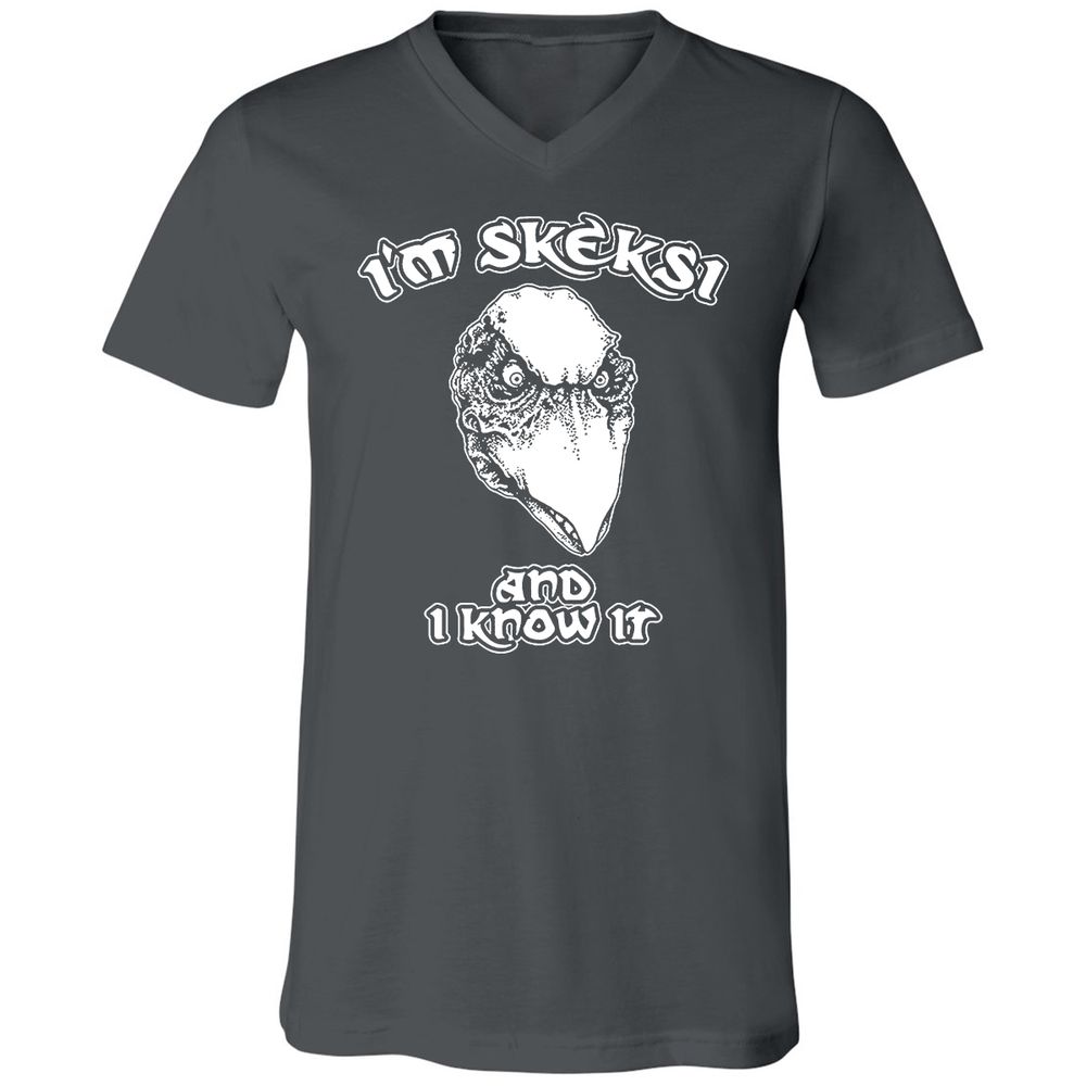 Unisex V-Neck T-Shirt - AGCXZ1HQ - Asphalt - 12