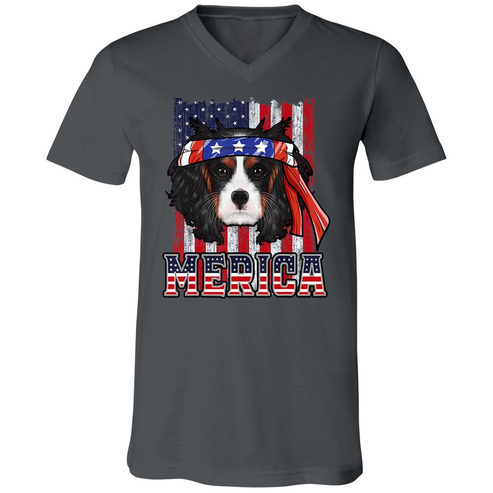 Unisex V-Neck T-Shirt - PRX98J7N - Asphalt - 12