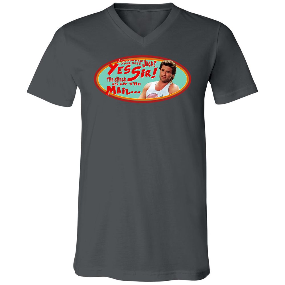 Unisex V-Neck T-Shirt - HZVFGSY8 - Asphalt - 12