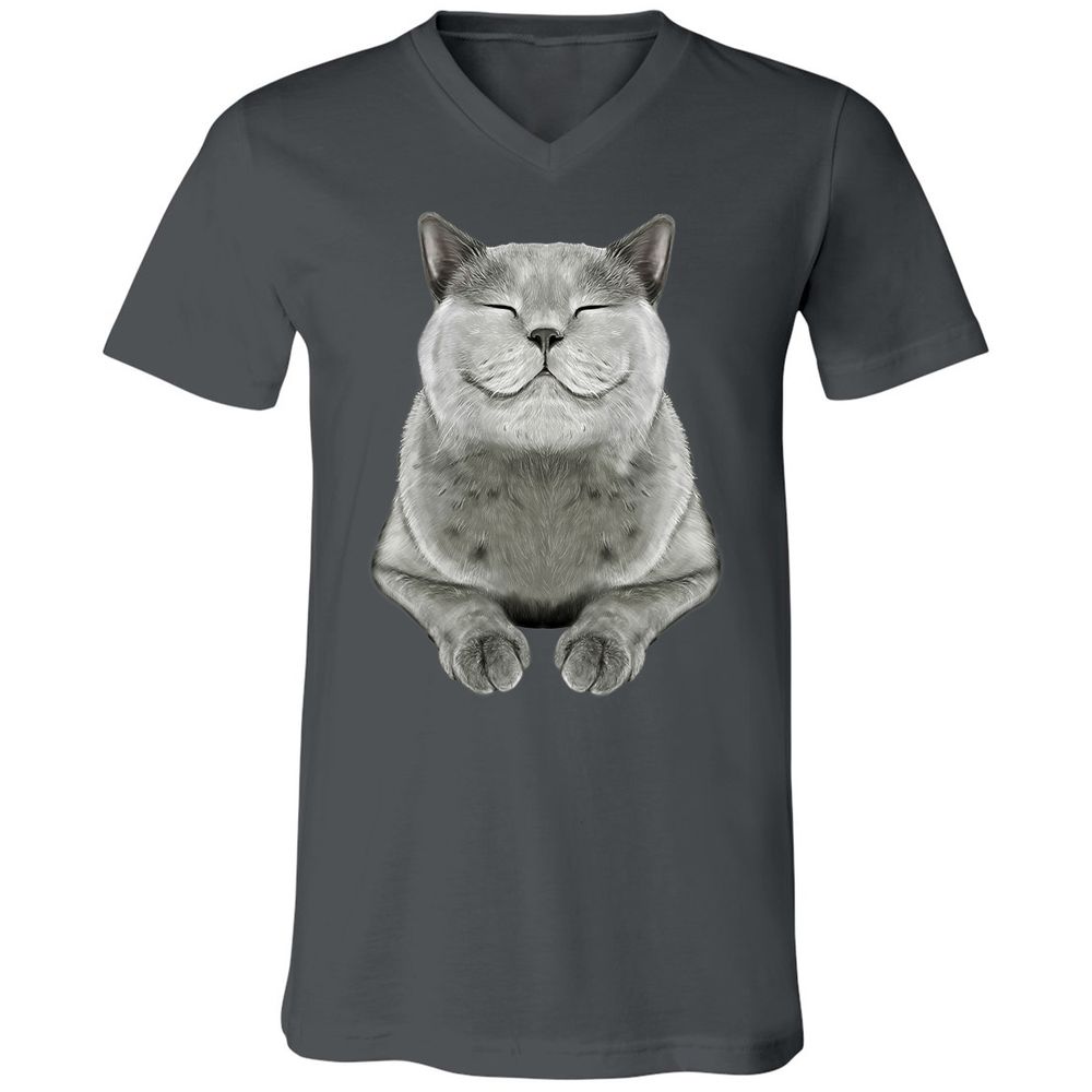 Unisex V-Neck T-Shirt - DRVCAR69 - Asphalt - 12