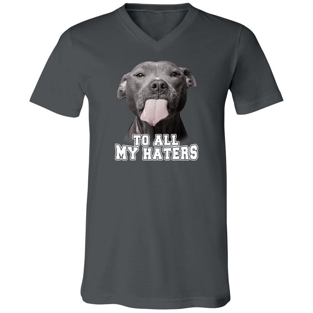 Unisex V-Neck T-Shirt - 3Z36GRAF - Asphalt - 12