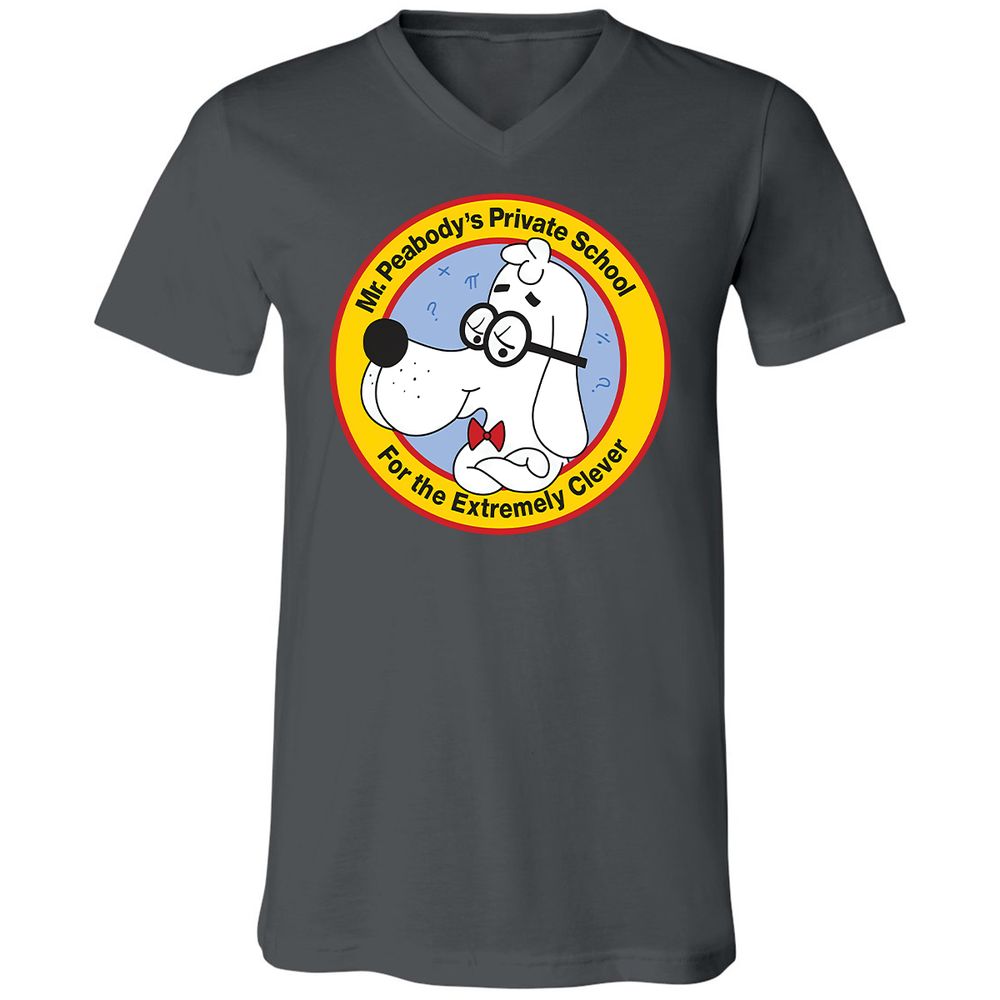 Unisex V-Neck T-Shirt - AHJYAQWW - Asphalt - 12