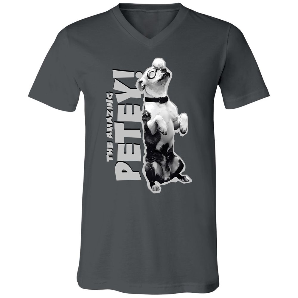Unisex V-Neck T-Shirt - GTA4QVXH - Asphalt - 12
