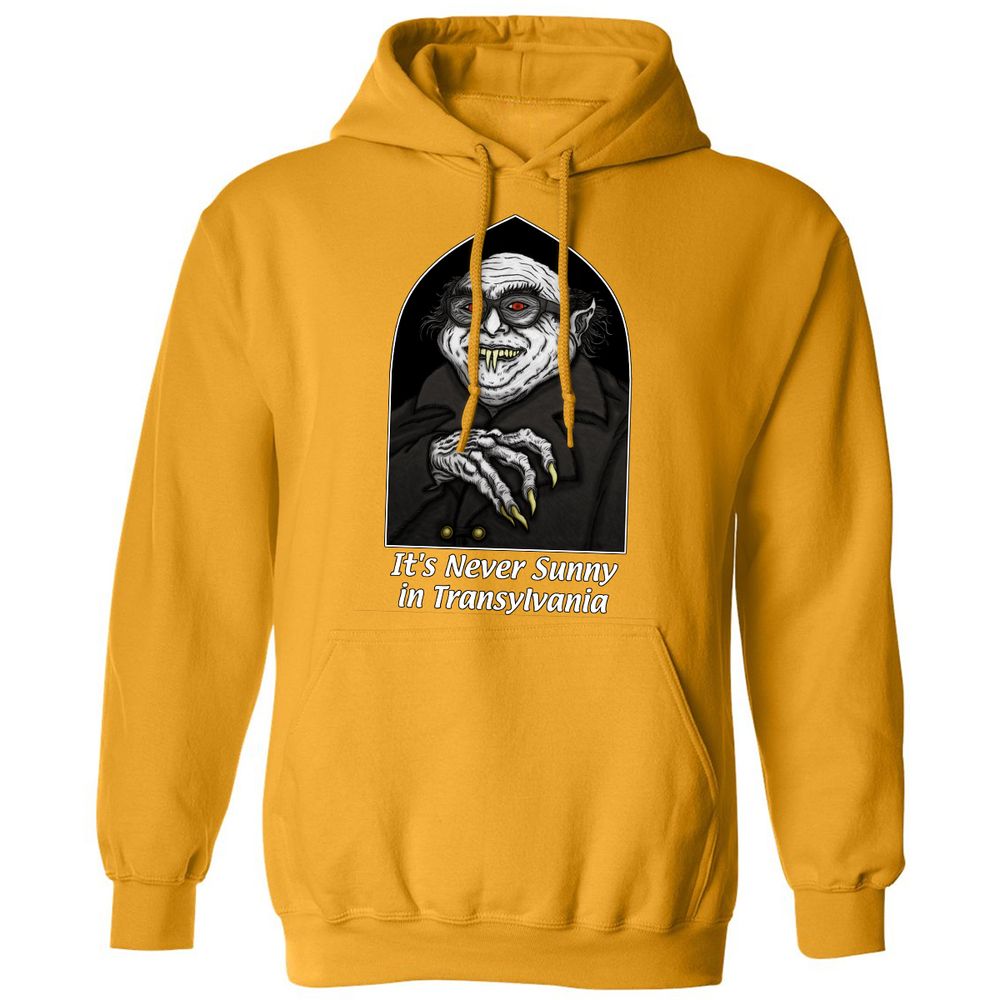 Classic Unisex Hoodie - Q2HXGFSY - Gold - 12